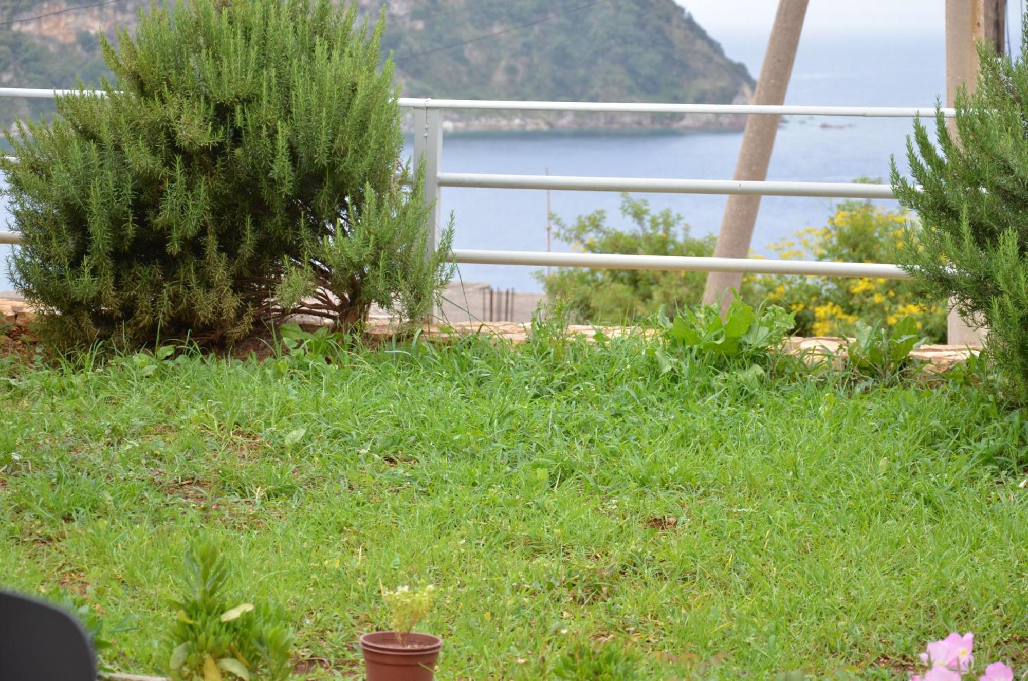 Harmonia Guest House 2 Himarë Dış mekan fotoğraf